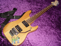 Washburn N2 Photo 1