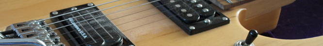 Washburn N2 Photo 11