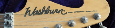 Washburn N2 Photo 2