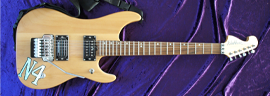 Washburn N2 Photo 3
