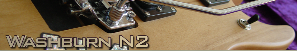 Washburn N2 Top banner