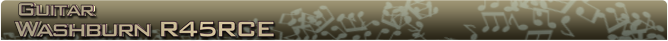 Washburn R45RCE Name banner