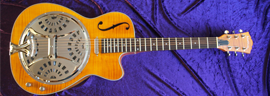 Washburn R45RCE Photo 2