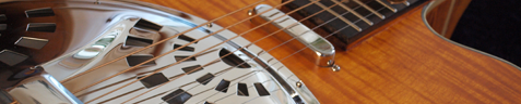 Washburn R45RCE Photo 3