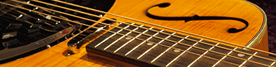 Washburn R45RCE Photo 6
