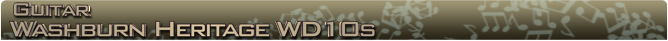 Washburn Wd10s Name banner1