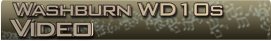 Washburn Wd10s video banner