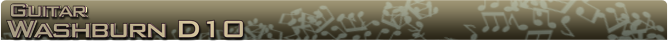 Washburn d10 Name banner