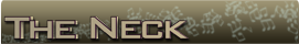 Washburn d10 neck banner