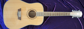 Washburn wd10s photo 7