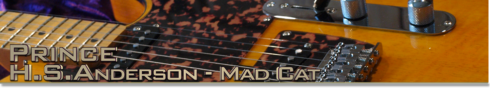 Prince - H S Andeson Mad Cat Top Banner