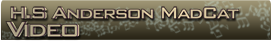 Prince - H S Andeson Mad Cat Video Banner