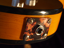 Prince - Mad Cat Guitar Photo 12