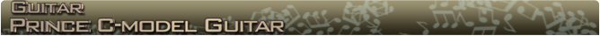 Prince C-model Guitar Banner name