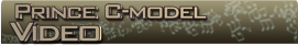 Prince c-model video banner