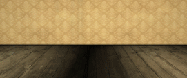 dunlop-slides-banner